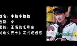 王源王景春最新爆料,揭秘幕后的精彩瞬间