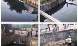 龙湖新溪爆料最新消息,揭秘神秘项目进展与影响